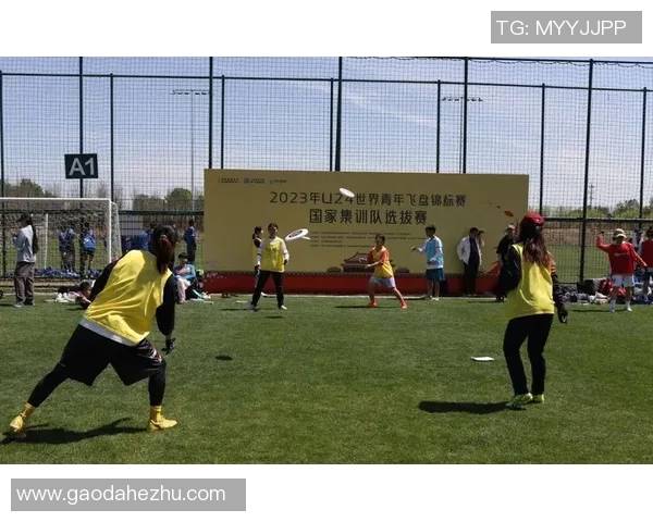 飞盘热潮下的战术创新：深入分析北京飞盘队的中路突破策略