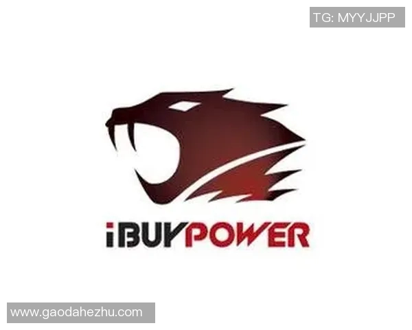 CSGO战术深度解析：RNG战队的策略与执行全景剖析