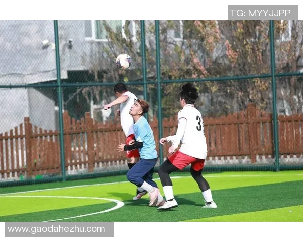 激烈角逐开启新篇章 全球顶级足球赛事点燃夏季激情