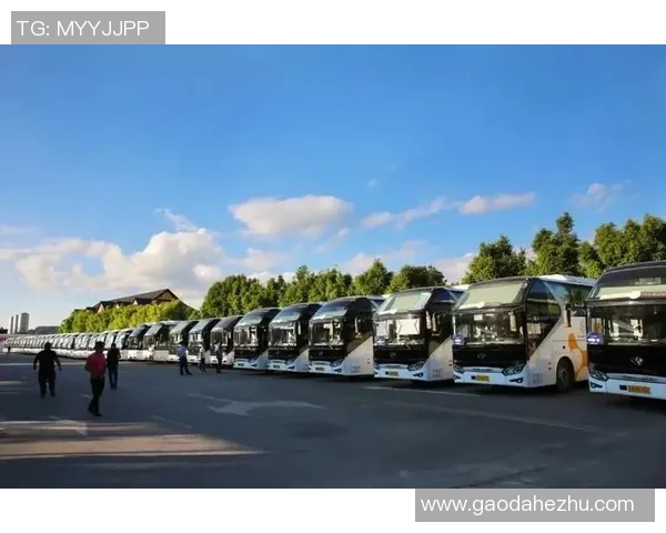 武汉攀岩队携手奋进团队协作排名创新高展现团结力量