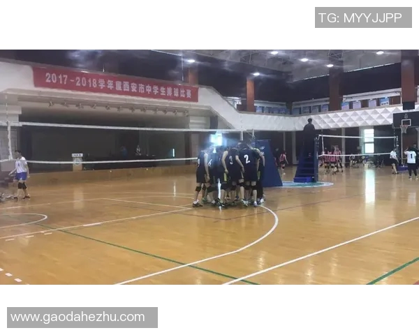 西安排球队在排球个人能力排名中创下新高引发热议
