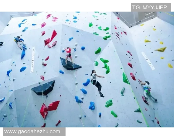 上海攀岩队如何通过控制革新提升竞技水平与团队协作能力