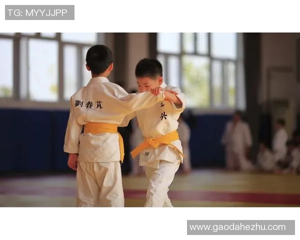 柔道精神与技巧的完美融合：从基础入门到竞技巅峰的全方位探索