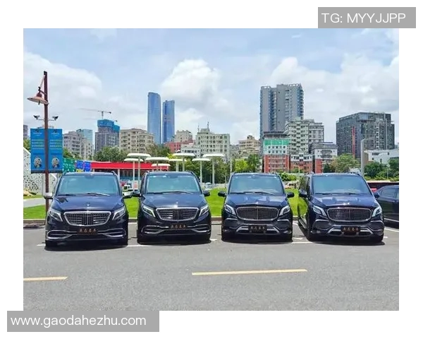 灵活选择与便捷出行：打造全新汽车租赁服务体验，满足多样化需求