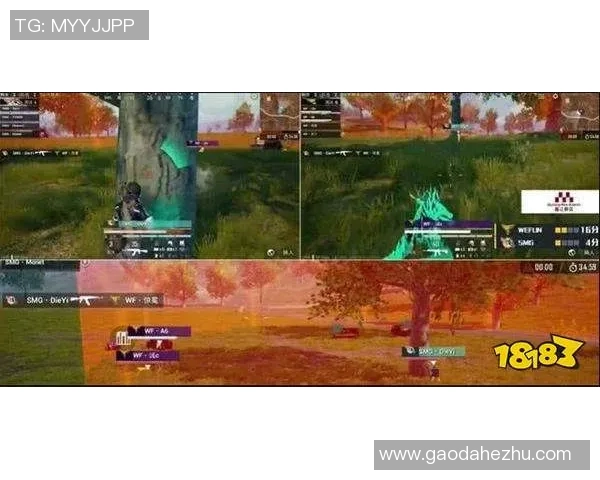 TES战队个人能力深度分析与DOTA2战术影响探讨