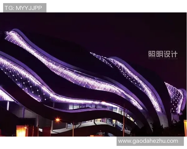 广州极限运动队的拼搏之路：一段不屈不挠的奋斗纪实